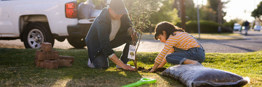 Free Shade Tree Workshops - Summer 2024